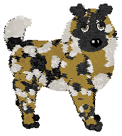 Profile image of Wild Road Singer-Songwriter @ Mockingbird