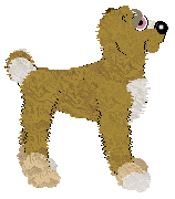 Eli's Foo Foo Kachoo — “Poppy”