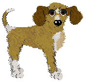 Funfetti/FDL's Heartbeat of Japan — “Taiko”