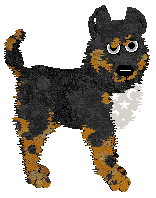 Amphigory Written In The Stars at Opolire — “Orion”