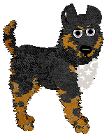 Amphigory Written In The Stars at Opolire — “Orion”