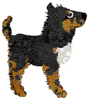 Amphigory Written In The Stars at Opolire — “Orion”