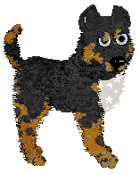 Amphigory Written In The Stars at Opolire — “Orion”