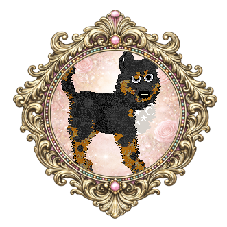 Profile image of Amphigory Written In The Stars at Opolire