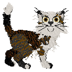 Lynx Kicking up a storm at Opolire — “Eyebrow”