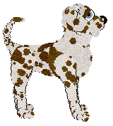 Opolire Winnie of the Willows — “Winnie”