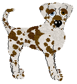 Opolire Winnie of the Willows — “Winnie”