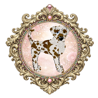 Profile image of Opolire Winnie of the Willows