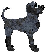 Eli's Shameless Cavorting — “Waltz”