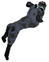 Eli's Shameless Cavorting — “Waltz”