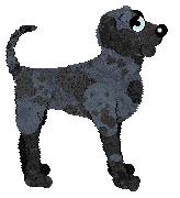 Eli's Shameless Cavorting — “Waltz”