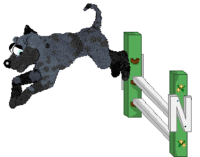 Eli's Shameless Cavorting — “Waltz”