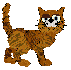 Mockingbird's Now Now Curacao — “Curacao”