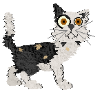 Profile image of Stancy's Prunus Armeniaca @ Mockingbird