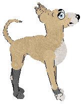 Krunchez' The Great American Pasta Noodle at ZCP — “Clemency”