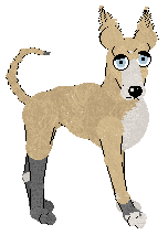 Profile image of Krunchez' The Great American Pasta Noodle at ZCP