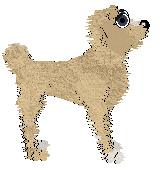 Gin's Très Bien Ensemble — “Michelle”