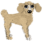 Gin's Très Bien Ensemble — “Michelle”