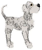 Amenity's Little Song — “Sonnet”