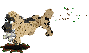 Funfetti/Witz's Personal Philosophy — “Scrunchion”