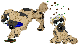 Funfetti/Witz's Personal Philosophy — “Scrunchion”