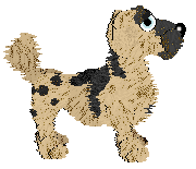 Funfetti/Witz's Personal Philosophy — “Scrunchion”