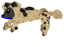 Funfetti/Witz's Personal Philosophy — “Scrunchion”