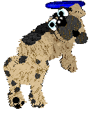 Funfetti/Witz's Personal Philosophy — “Scrunchion”