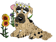 Funfetti/Witz's Personal Philosophy — “Scrunchion”