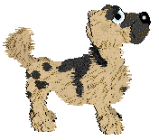 Funfetti/Witz's Personal Philosophy — “Scrunchion”