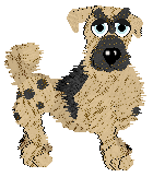 Funfetti/Witz's Personal Philosophy — “Scrunchion”