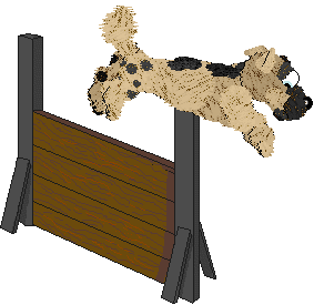 Funfetti/Witz's Personal Philosophy — “Scrunchion”