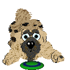 Funfetti/Witz's Personal Philosophy — “Scrunchion”