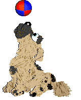 Funfetti/Witz's Personal Philosophy — “Scrunchion”