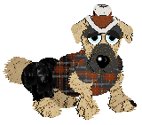 Funfetti/Witz's Personal Philosophy — “Scrunchion”