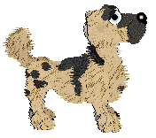 Funfetti/Witz's Personal Philosophy — “Scrunchion”