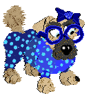 Funfetti/Witz's Personal Philosophy — “Scrunchion”