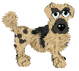 Funfetti/Witz's Personal Philosophy — “Scrunchion”