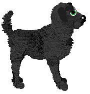 Profile image of Cargo's Simply Stellar @ Mockingbird