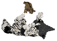 Calluna Six Parts Sulfur at Perfume — “Gunpowder”