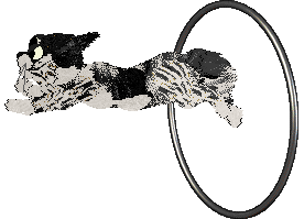 Calluna Six Parts Sulfur at Perfume — “Gunpowder”