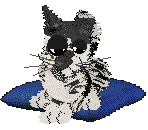 Calluna Six Parts Sulfur at Perfume — “Gunpowder”