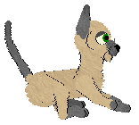 Dahlia's Stone Cold Stakes @ Mockingbird — “Agate”