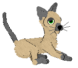 Profile image of Dahlia's Stone Cold Stakes @ Mockingbird