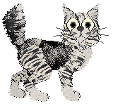 Witz's Flyin' & Cryin' — “Bumblebee”