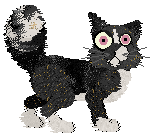 Calluna/Witz's Fire & Spice — “Minnie”