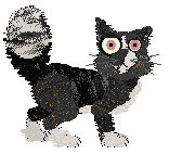 Calluna/Witz's Fire & Spice — “Minnie”