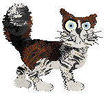 Calluna/FDL's Too Hot to Handle — “Madras”