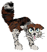 Calluna/FDL's Too Hot to Handle — “Madras”