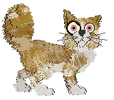 Calluna's Fire Breather — “Kerosene”